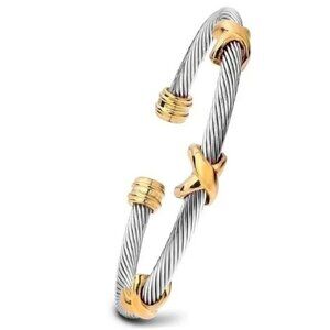 #307 Color Block Titanium Steel Bangle